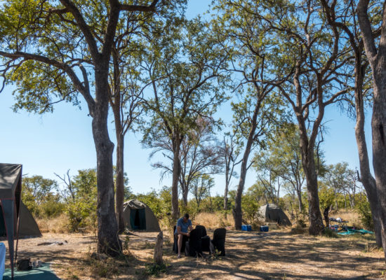 Campsite guided safari Botswana